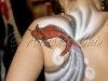 Koi bodypaint