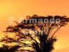 IMG_5791-edit [ac2 800x600]