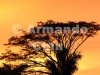 IMG_5792-edit [ac2 800x600]
