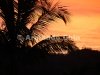 IMG_5802-edit [ac2 800x600]