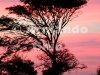 IMG_6521-edit [ac2 800x600]