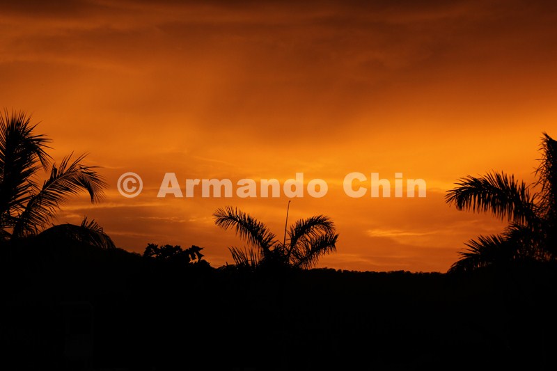 IMG_5783-edit [ac2 800x600]