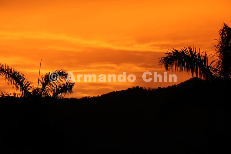 IMG_5790-edit [ac2 800x600]