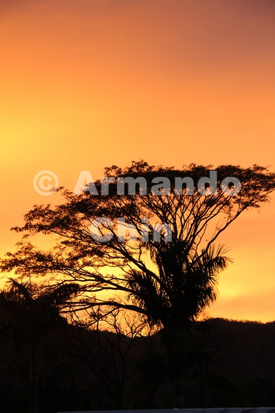 IMG_5791-edit [ac2 800x600]