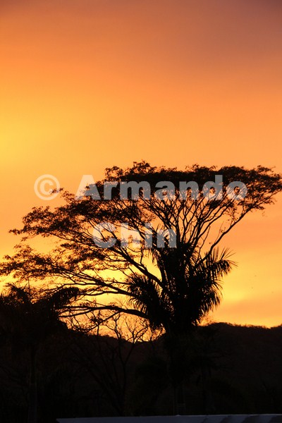 IMG_5792-edit [ac2 800x600]