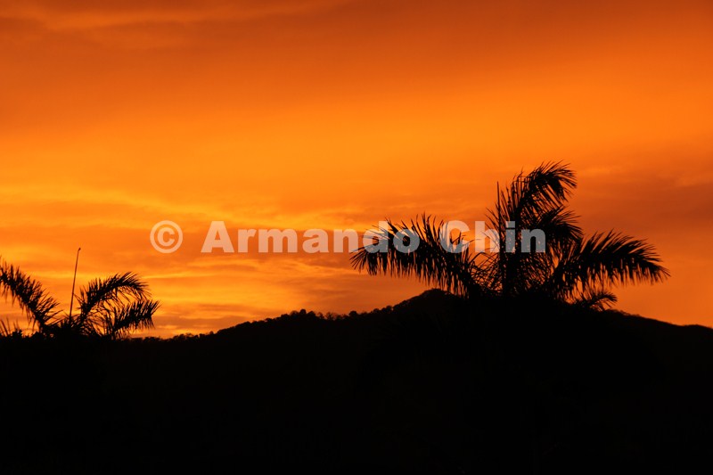 IMG_5795-edit [ac2 800x600]