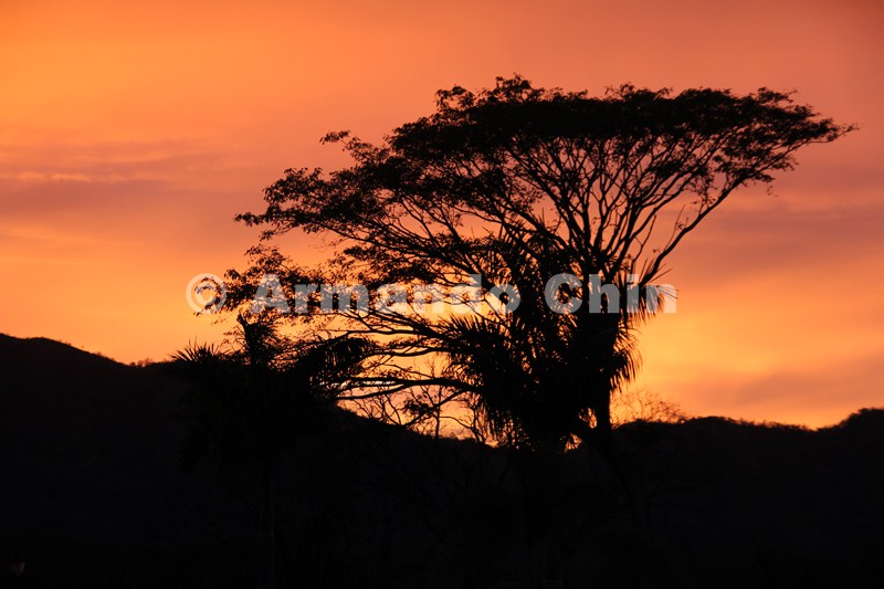 IMG_5799-edit [ac2 800x600]