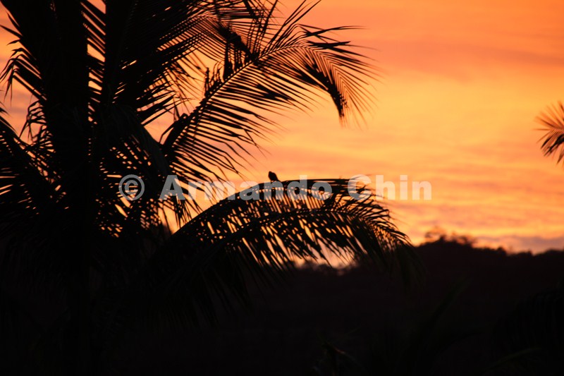 IMG_5801-edit [ac2 800x600]