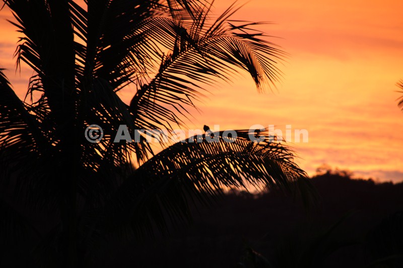 IMG_5802-edit [ac2 800x600]
