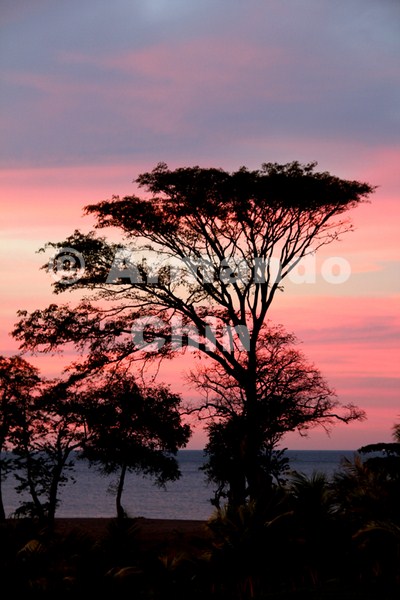 IMG_6519-edit [ac2 800x600]