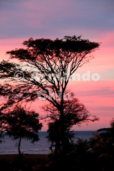 IMG_6521-edit [ac2 800x600]