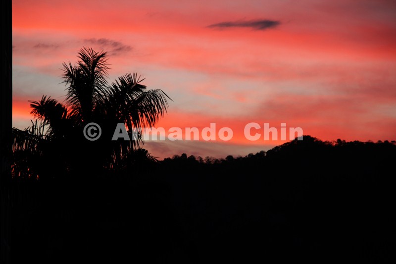 IMG_6525-edit [ac2 800x600]