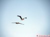 img_3468_edit-800a