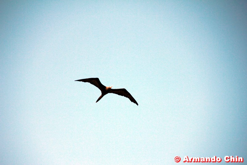 img_3460_edit-800a