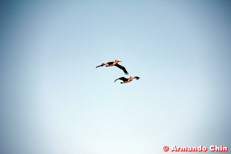 img_3465_edit-800a