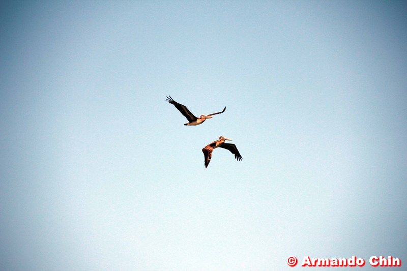 img_3466_edit-800a