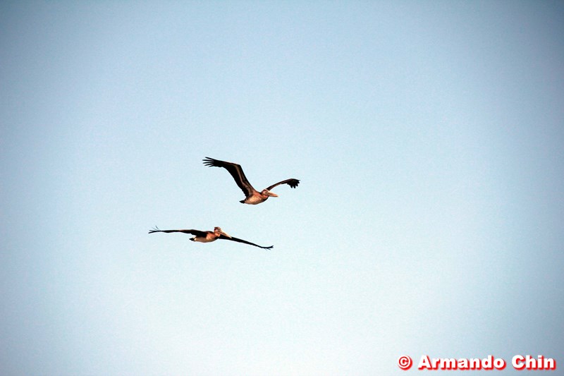 img_3468_edit-800a