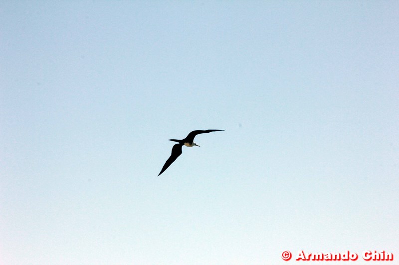 img_3505_edit-800a