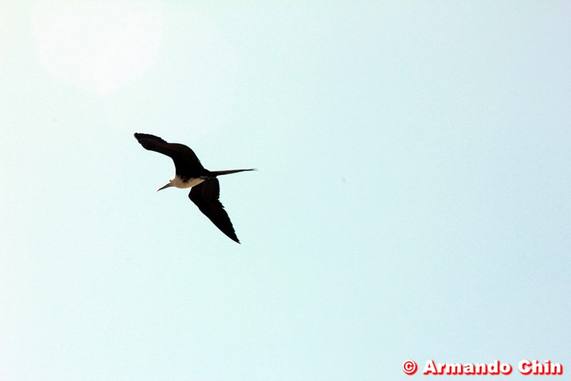 img_3535_edit-800a