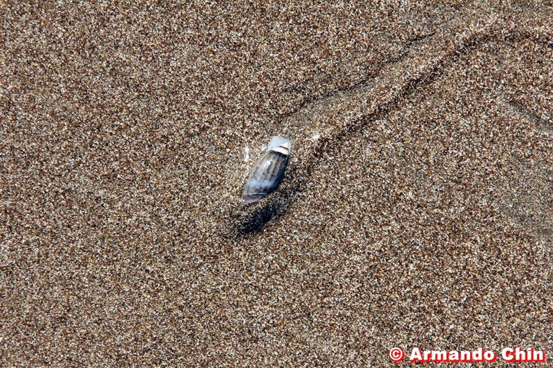 img_3544_edit-800a