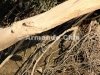 IMG_5503-edit [ac2 800x600]