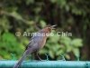 IMG_5702-edit [ac2 800x600]
