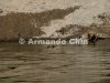 IMG_9702-edit [ac2 800x600]
