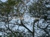 IMG_9809-edit [ac2 800x600]