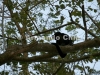 IMG_9886-edit [ac2 800x600]