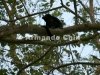 IMG_9887-edit [ac2 800x600]