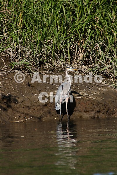 IMG_5370-edit [ac2 800x600]