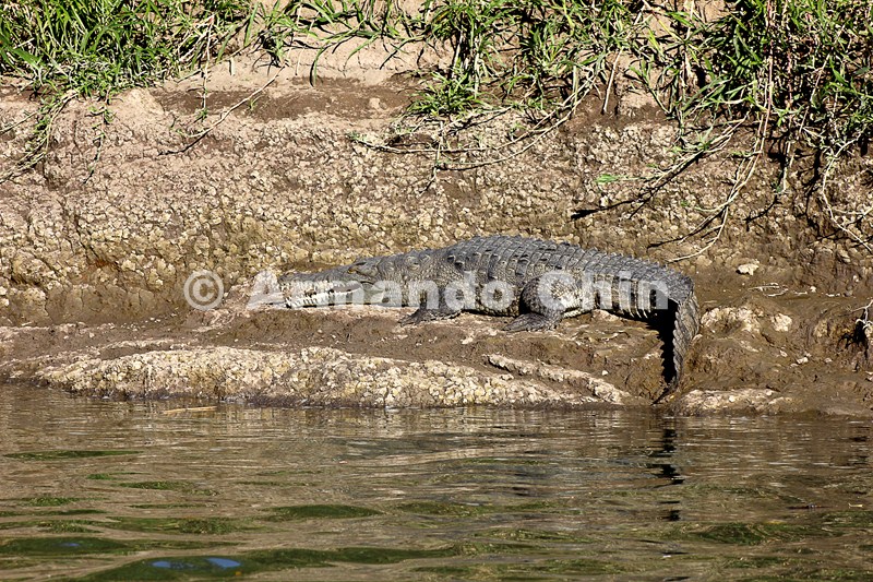 IMG_5391-edit [ac2 800x600]