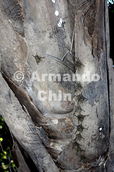 IMG_5403-edit [ac2 800x600]