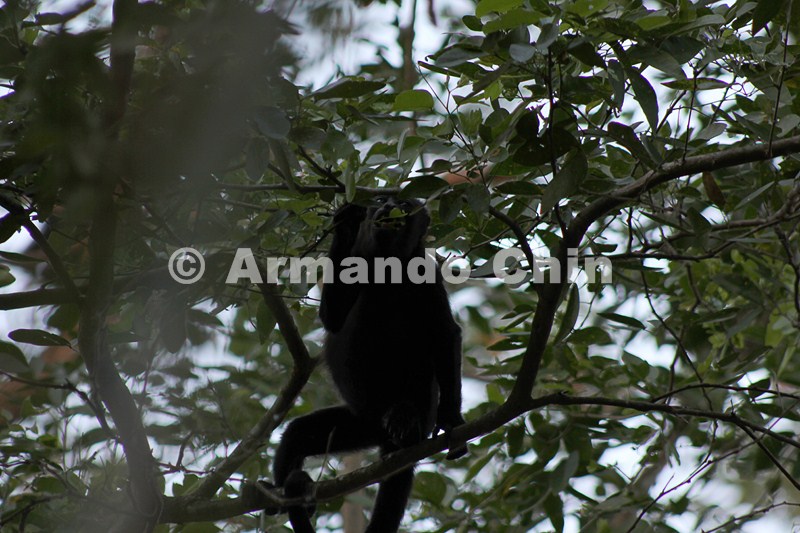 IMG_5583-edit [ac2 800x600]