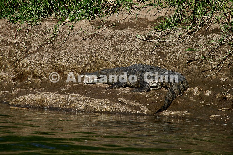 IMG_9649-edit [ac2 800x600]