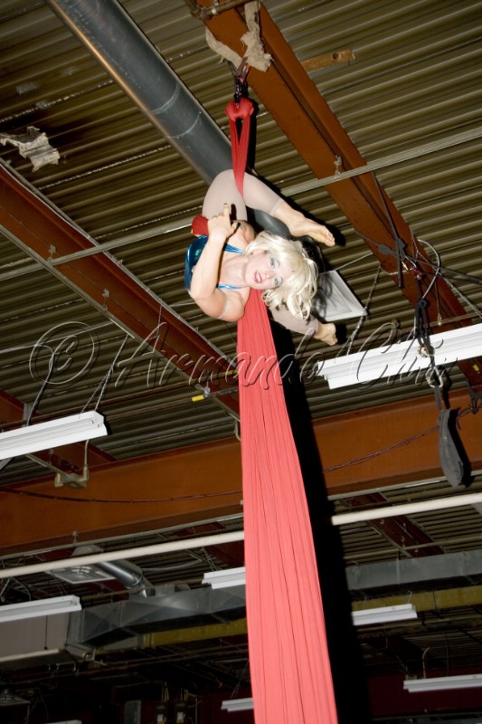 ETDWS2009L_161
