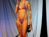 img_6851-edit-ac-800x600