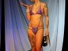 img_6852-edit-ac-800x600