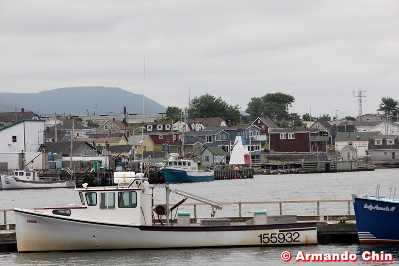 img_2743-edit-800a