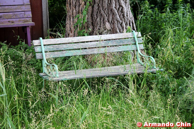 img_2825-edit-800a