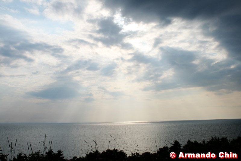 img_3073-edit-800a