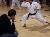 img_6546-edit-800x600-800a