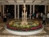IMG_7458 IMG_7458