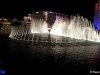 IMG_7563