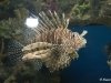 IMG_8266 IMG_8266