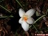 img_4767-edit-800a