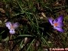 img_4768-edit-800a