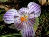 img_4788-edit-800a