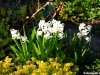 img_4930-edit-ac5-800x600