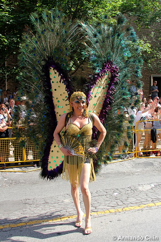 img_9083-edit-ac5-800x600